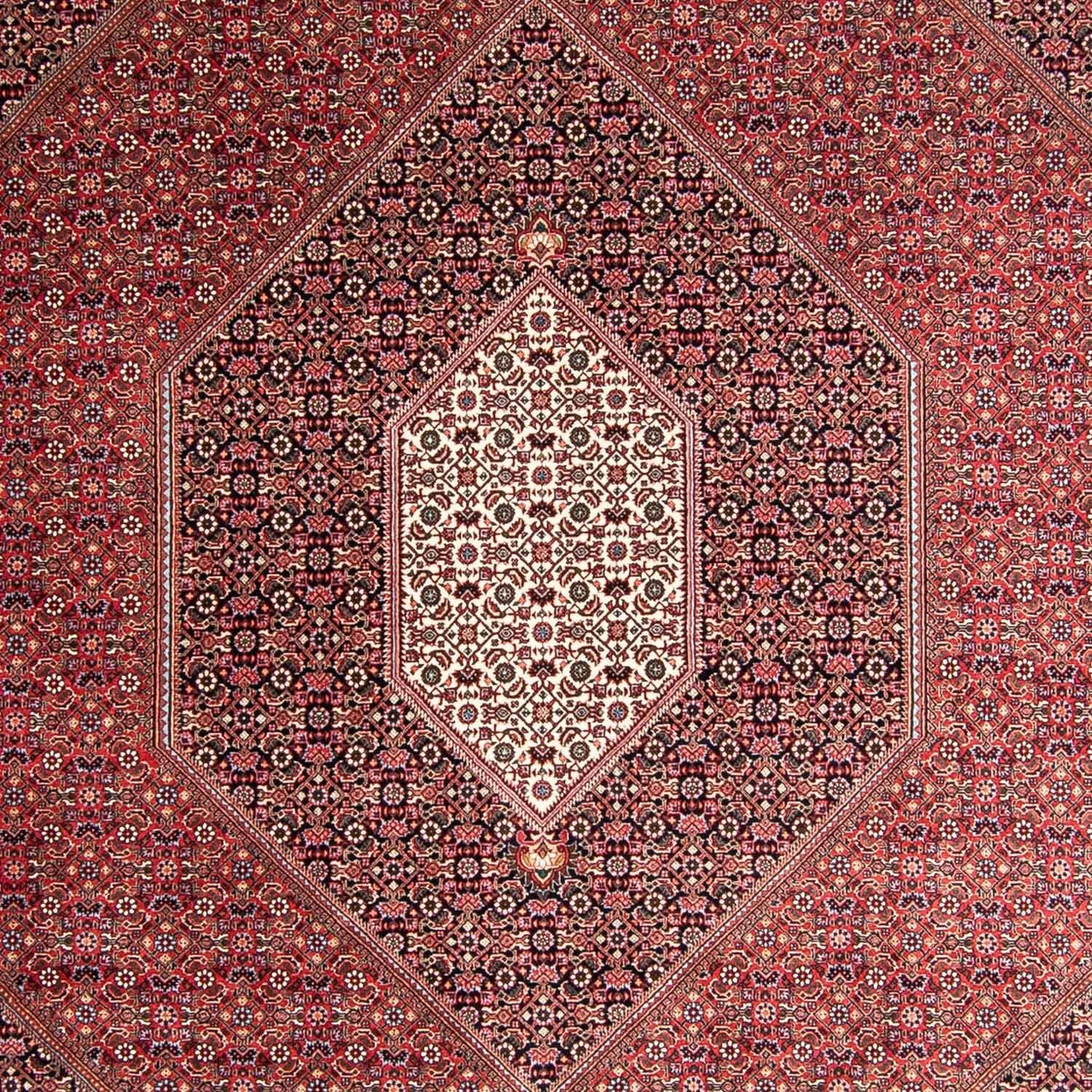 Perserteppich - Bidjar 360 x 250 cm
