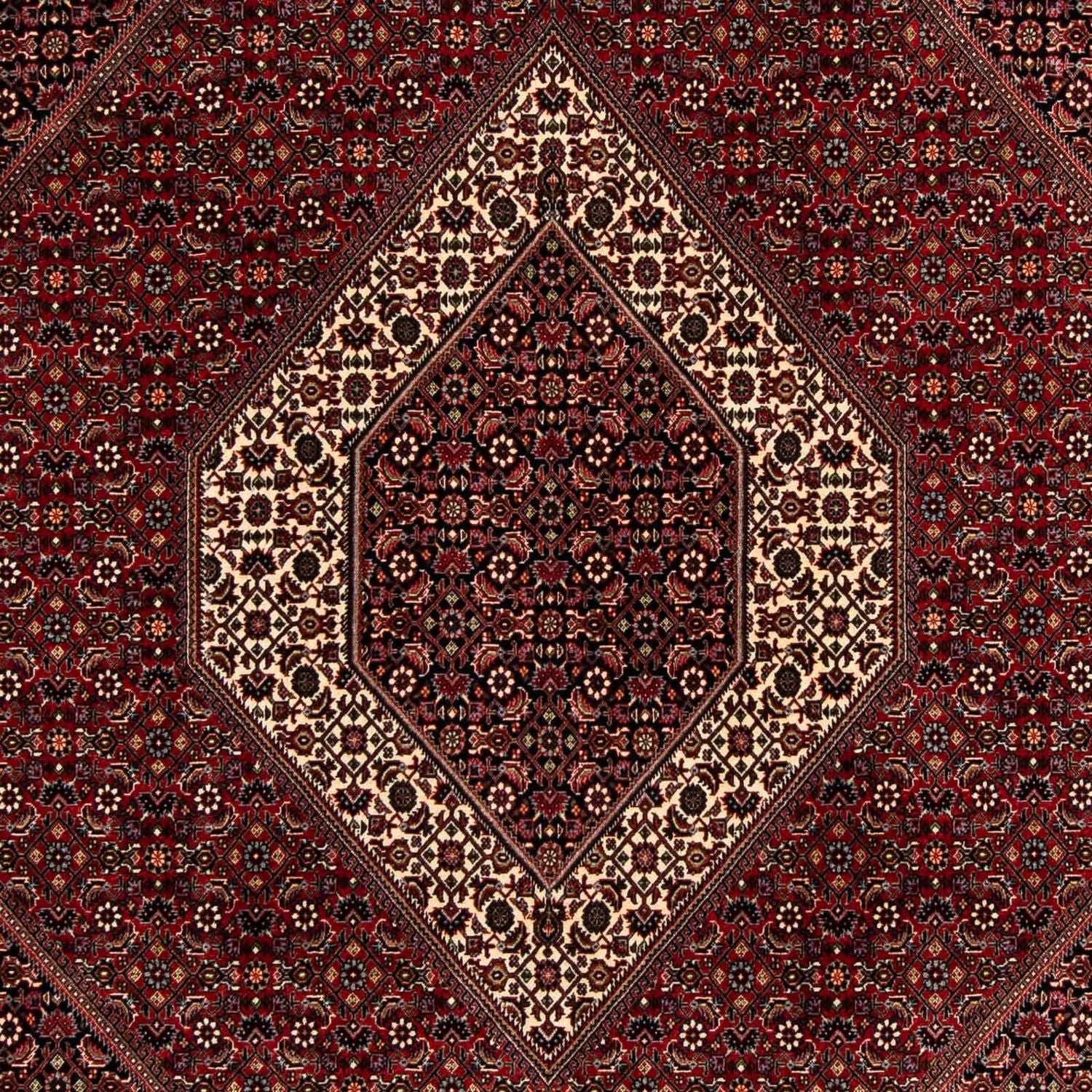 Perserteppich - Bidjar 263 x 203 cm