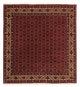 Perserteppich - Bidjar 207 x 200 cm