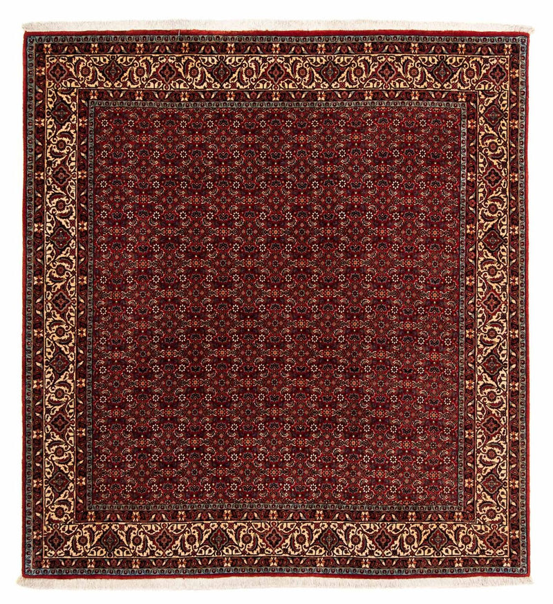 Perserteppich - Bidjar 207 x 200 cm