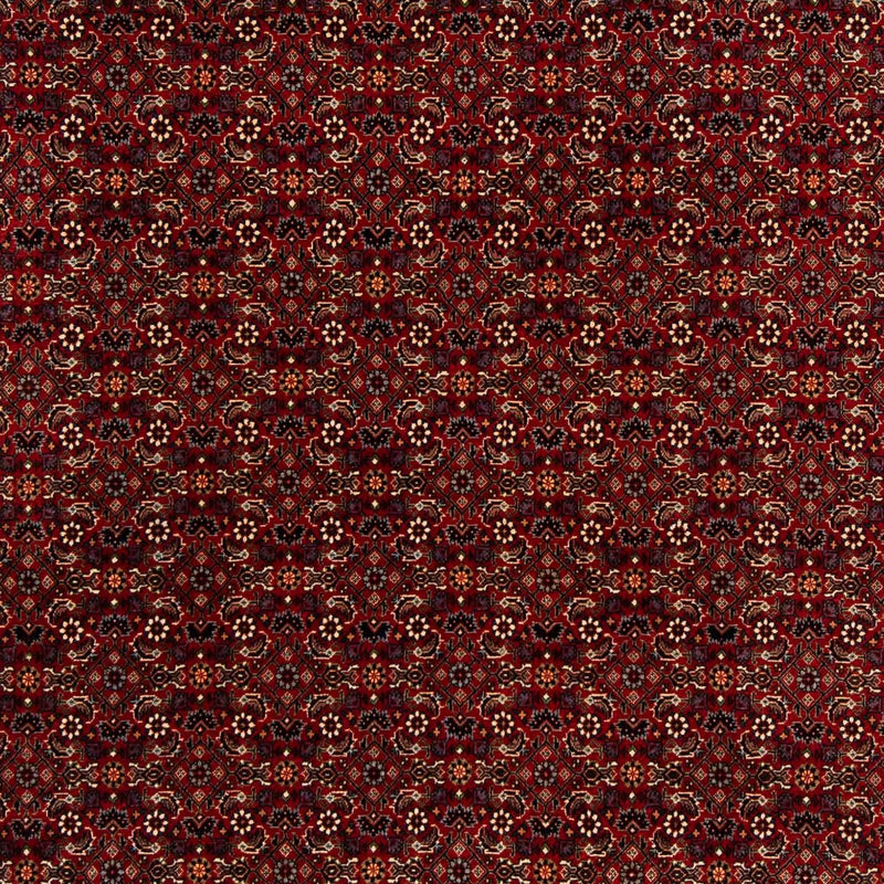 Perserteppich - Bidjar 207 x 200 cm