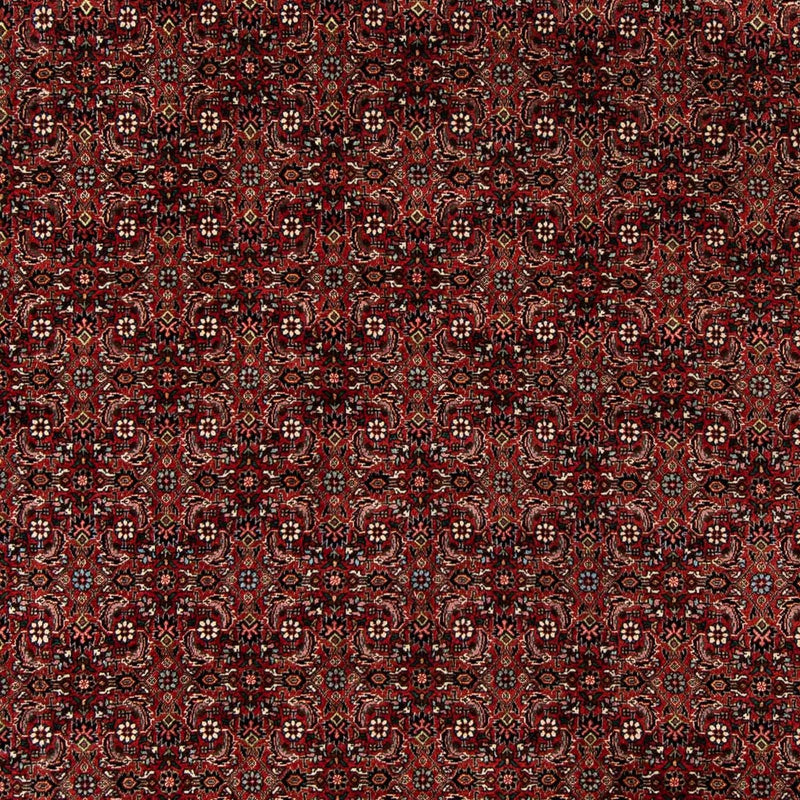 Perserteppich - Bidjar 242 x 202 cm Wohnzimmer Teppich