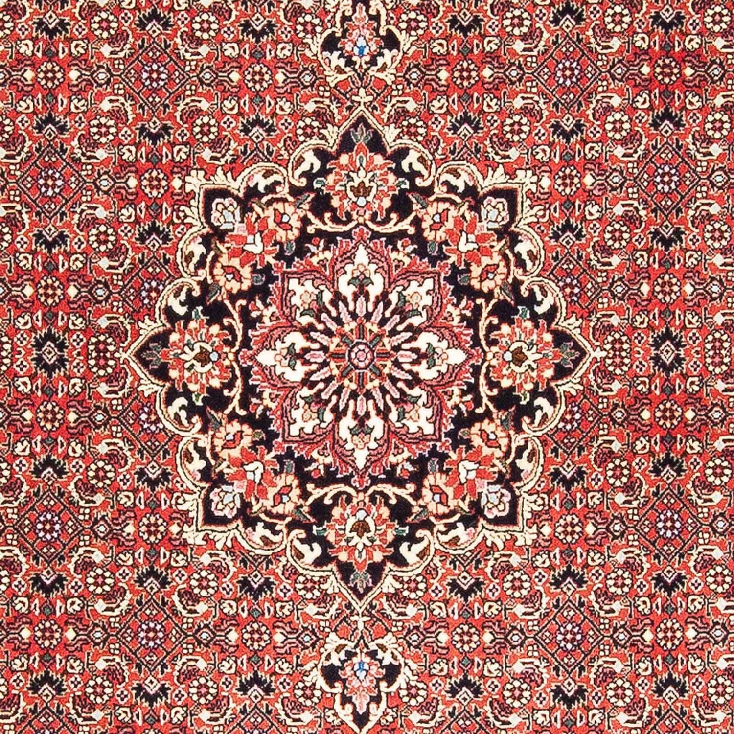 Perserteppich - Bidjar - Royal 182 x 110 cm Teppichbrücke