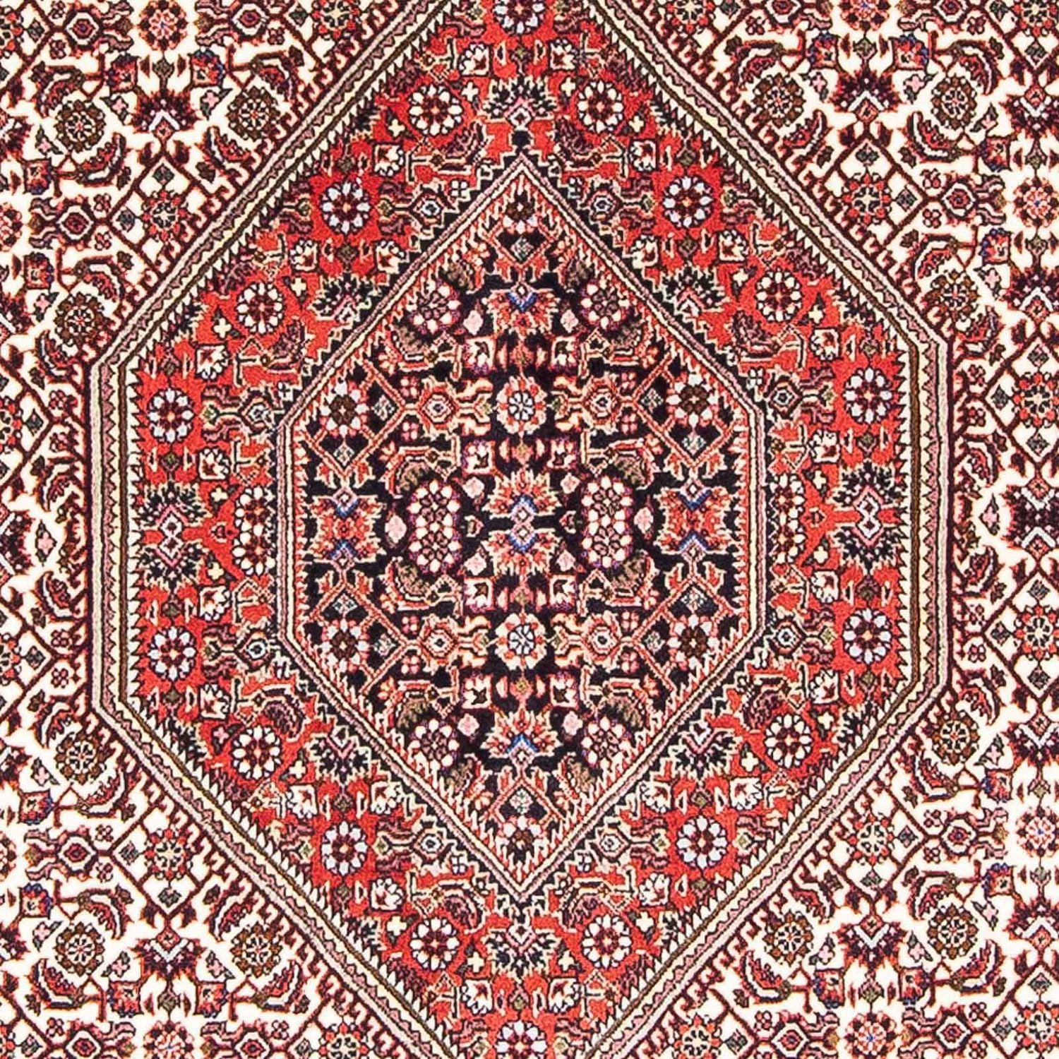 Perserteppich - Bidjar - Royal 173 x 107 cm