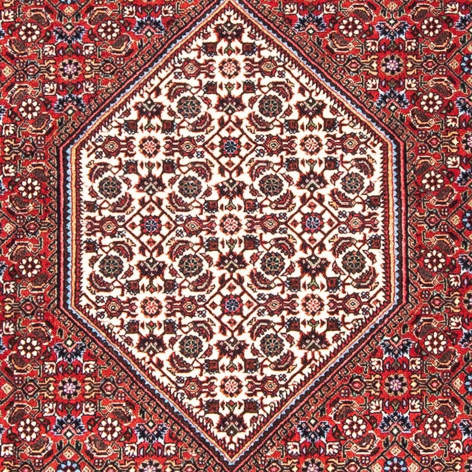 Perserteppich - Bidjar - Royal 169 x 108 cm