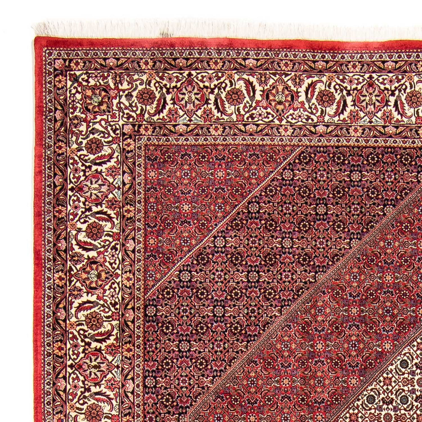 Bidjar Teppich 304x255cm - Perserteppich