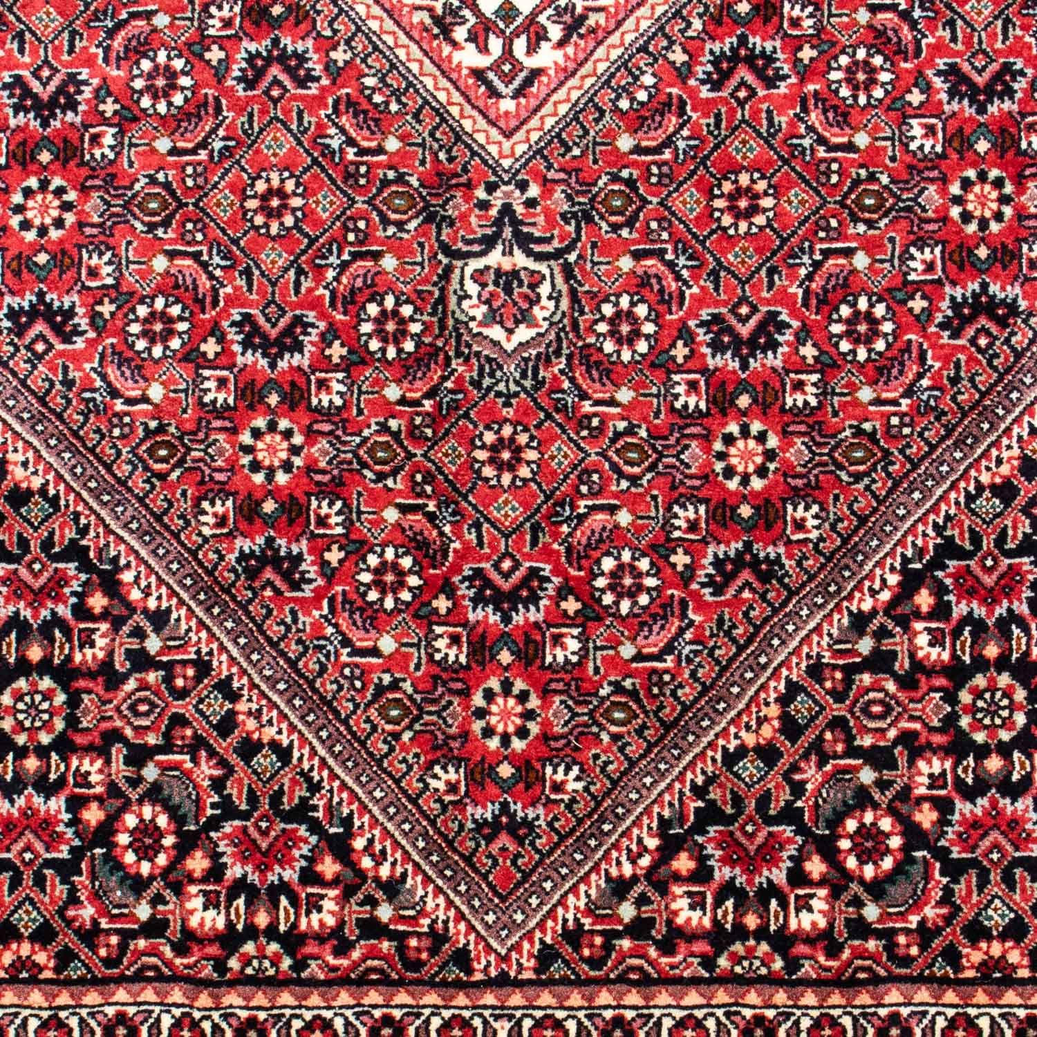 Perserteppich - Bidjar 250 x 171 cm