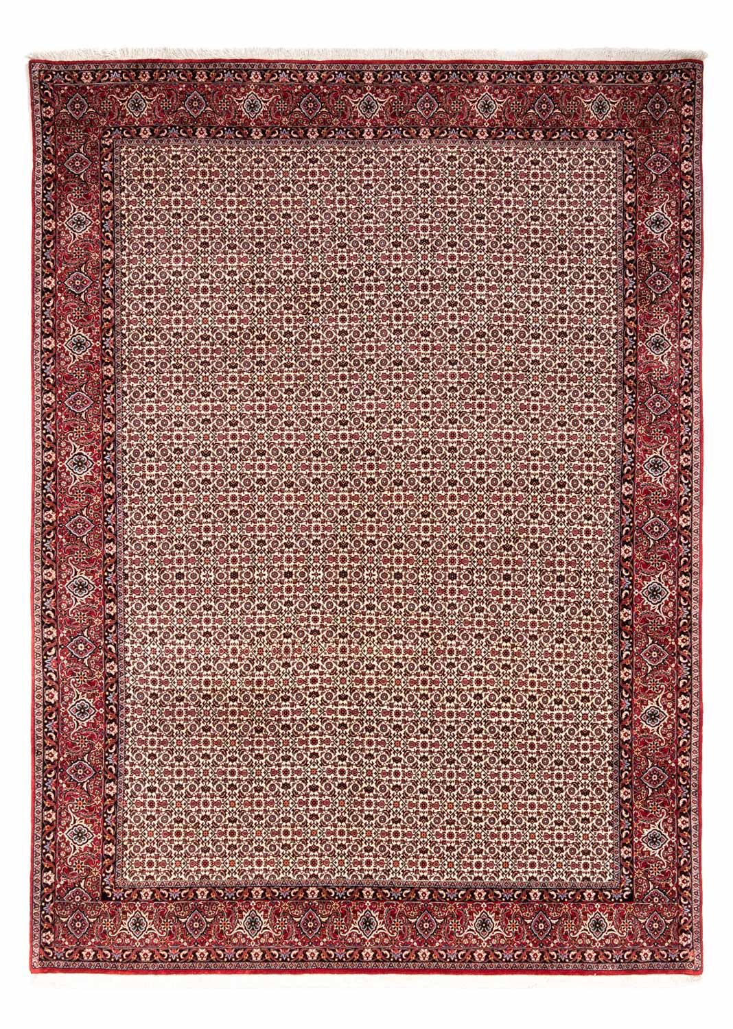 Perserteppich - Bidjar - Royal 343 x 253 cm