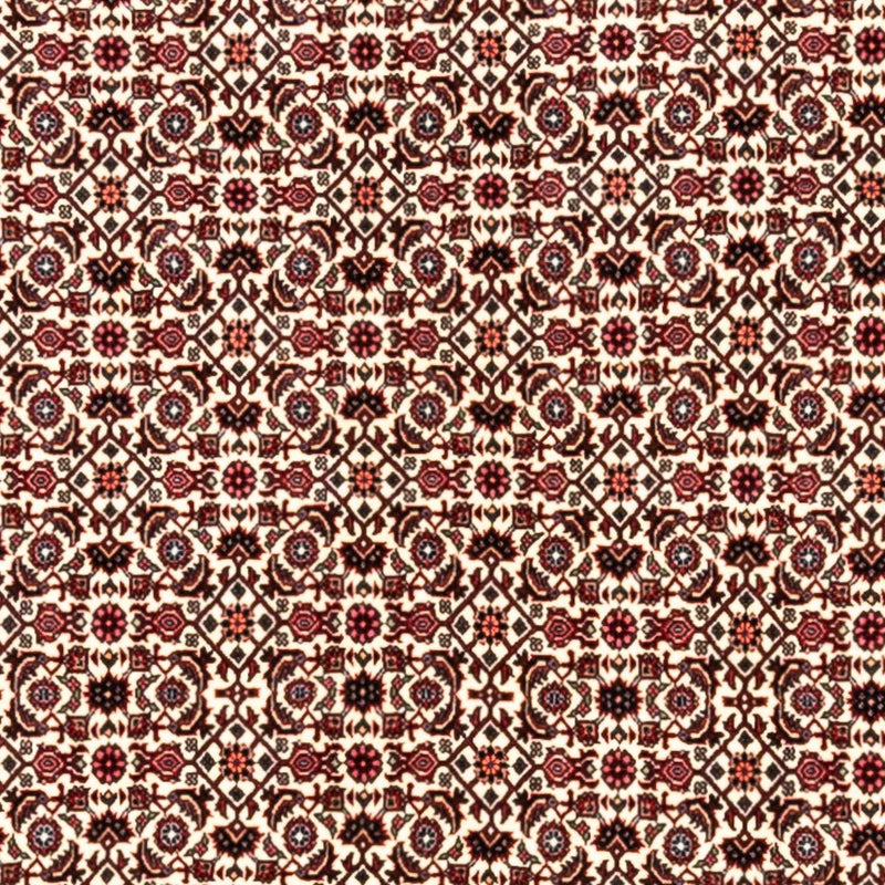 Perserteppich - Bidjar - Royal 343 x 253 cm