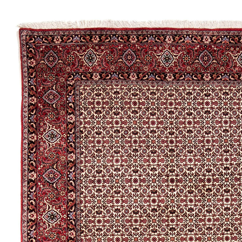 Perserteppich - Bidjar - Royal 343 x 253 cm