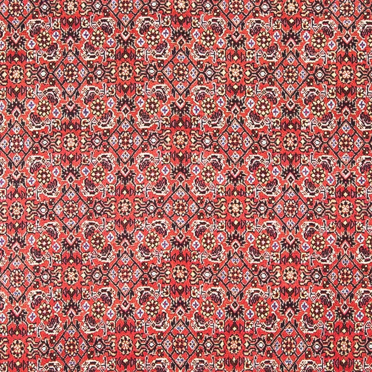 Perserteppich - Bidjar - Royal 105 x 101 cm Teppich Quadratisch