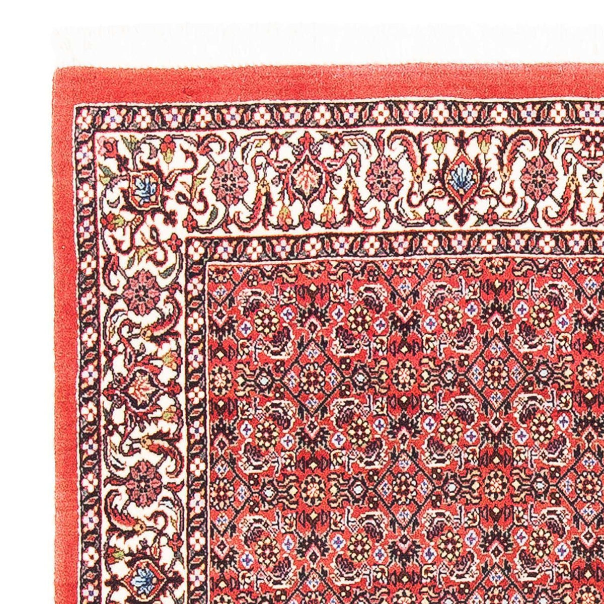 Perserteppich - Bidjar - Royal 105 x 101 cm Teppich Quadratisch