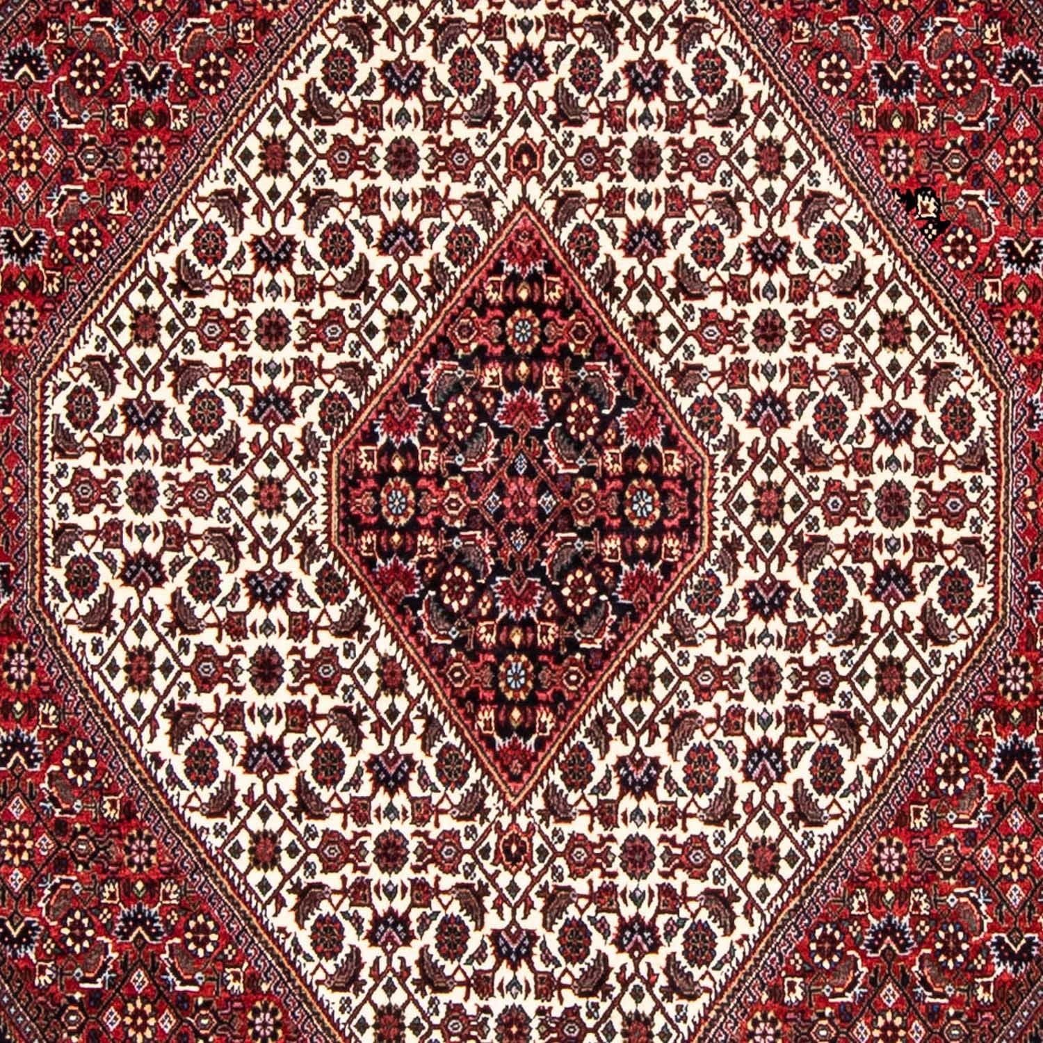 Perserteppich - Bidjar 236 x 172 cm Teppich Wohnzimmer