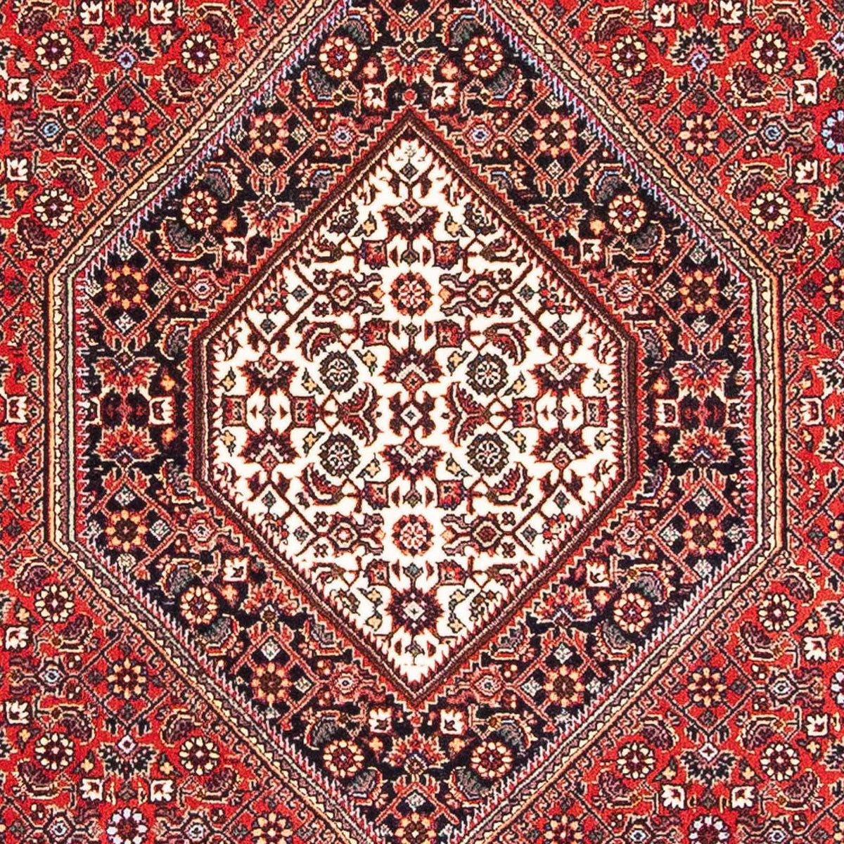 Perserteppich - Bidjar - Royal 173 x 112 cm - rot