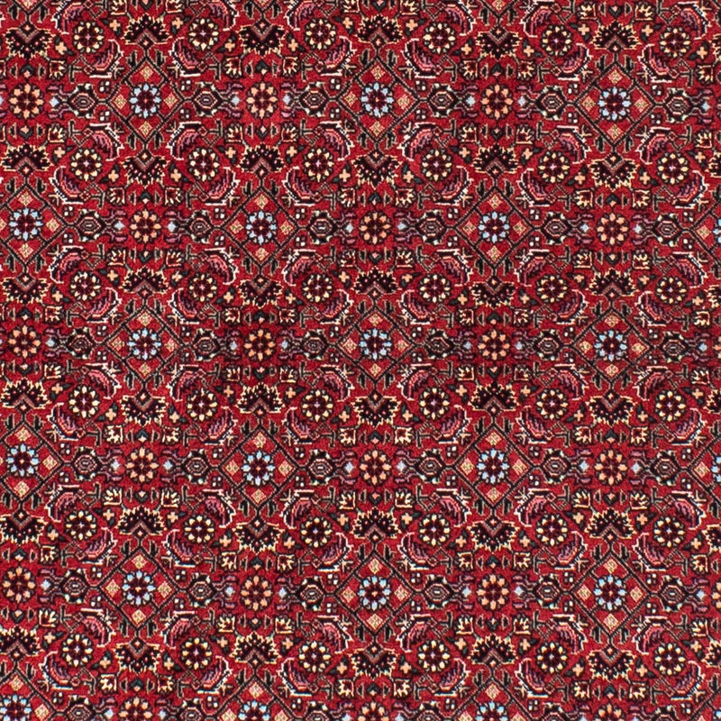 Perserteppich - Bidjar 150 x 150 cm