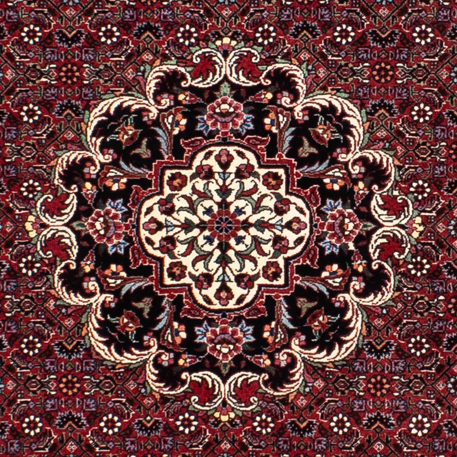 Perserteppich - Bidjar 150 x 150 cm