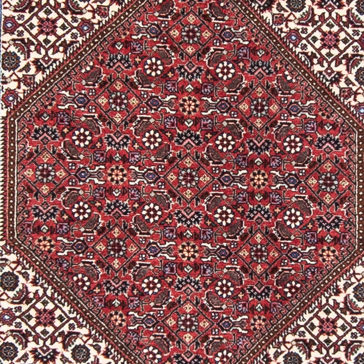 Perserteppich - Bidjar 403 x 86 cm