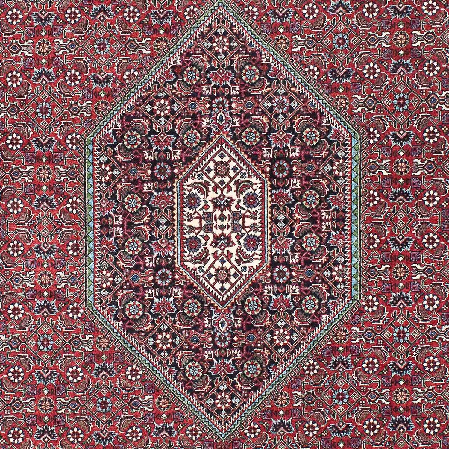 Perserteppich - Bidjar - Royal 212 x 133 cm