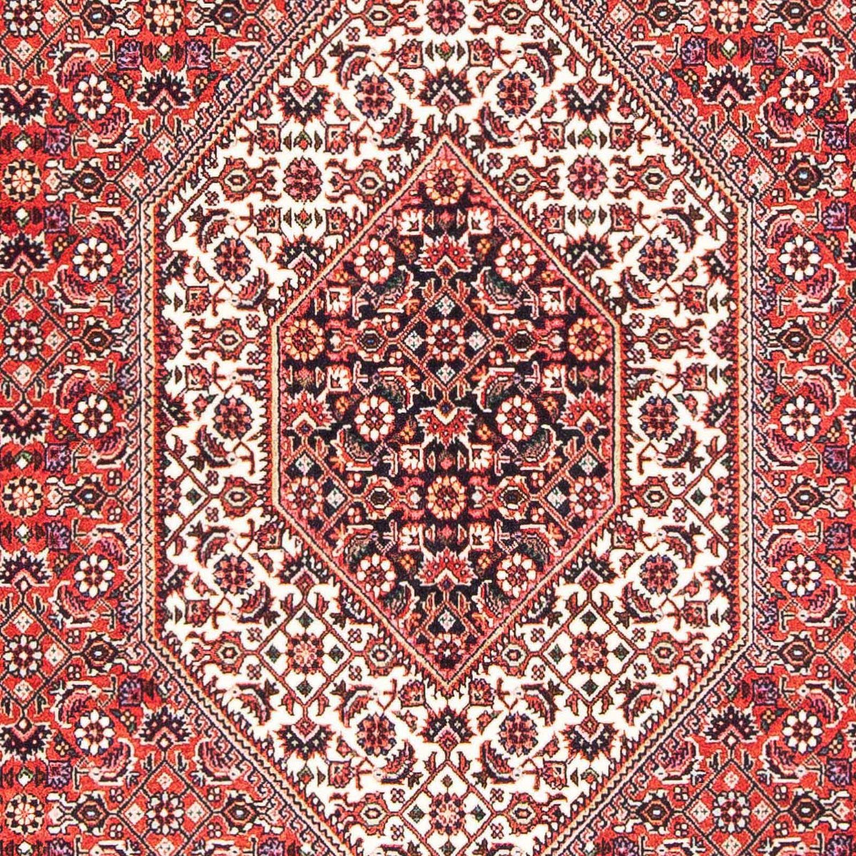 Perserteppich - Bidjar - Royal 181 x 108 cm