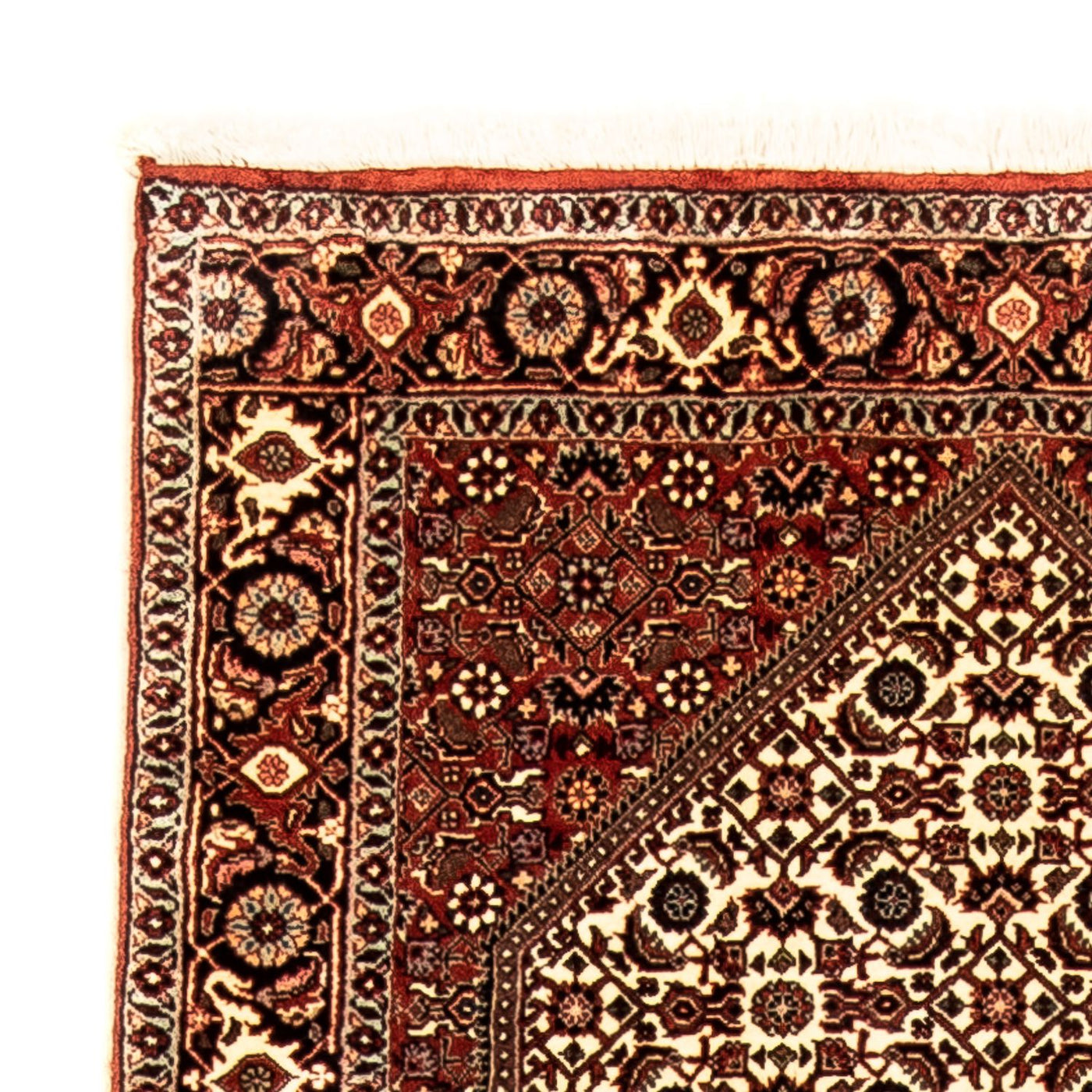 Bidjar Teppich 289x86cm - Perserteppich