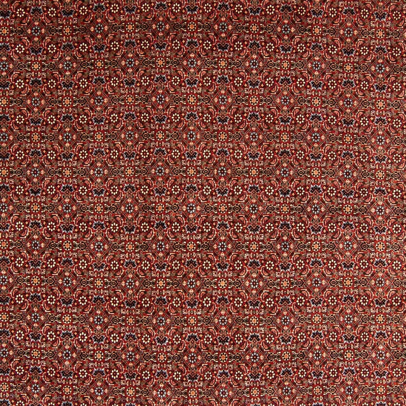 Perserteppich - Bidjar 340 x 254 cm