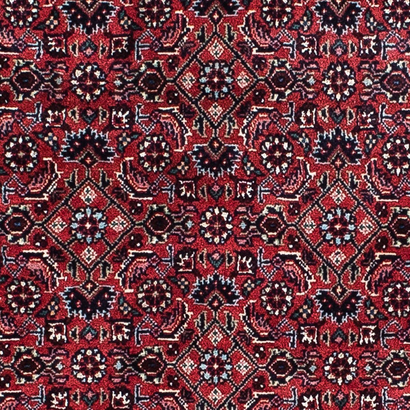 Perserteppich - Bidjar 207 x 132 cm