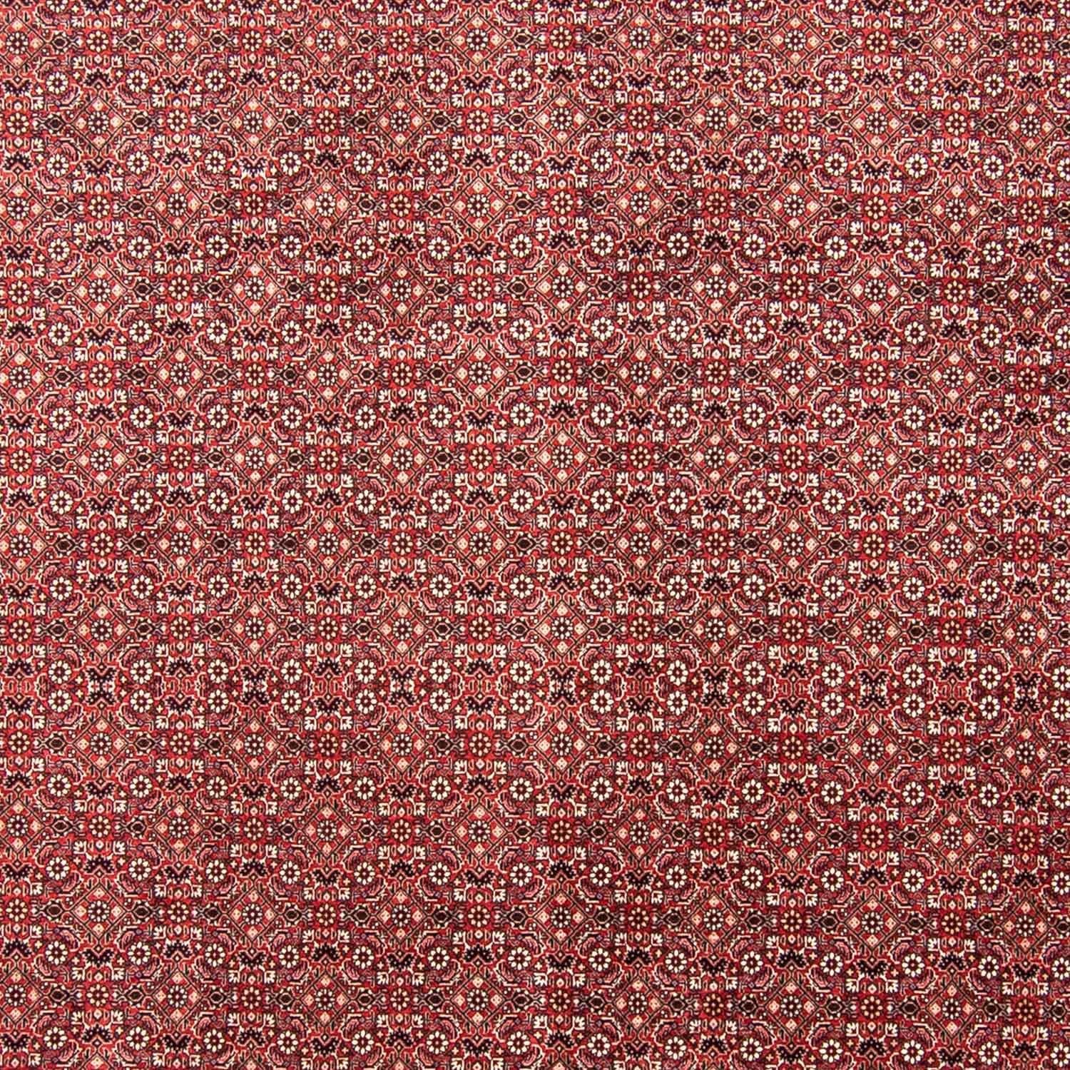 Perserteppich - Bidjar 350 x 245 cm