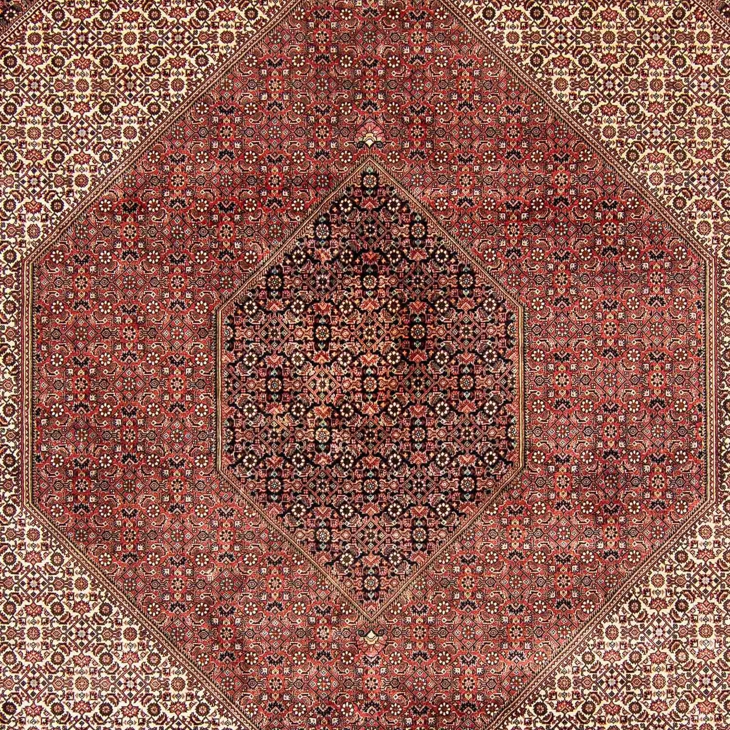 Perserteppich - Bidjar 388 x 302 cm