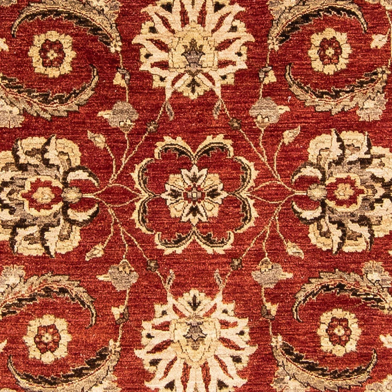 Ziegler Teppich 248 x 239 cm
