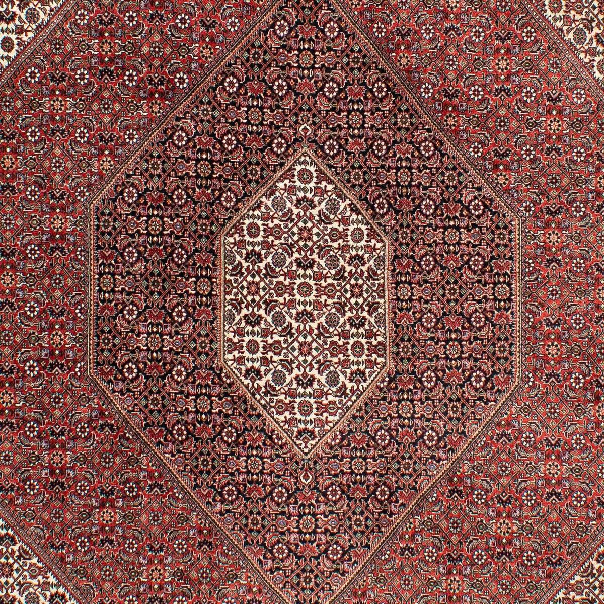 Perserteppich - Bidjar 294 x 204 cm