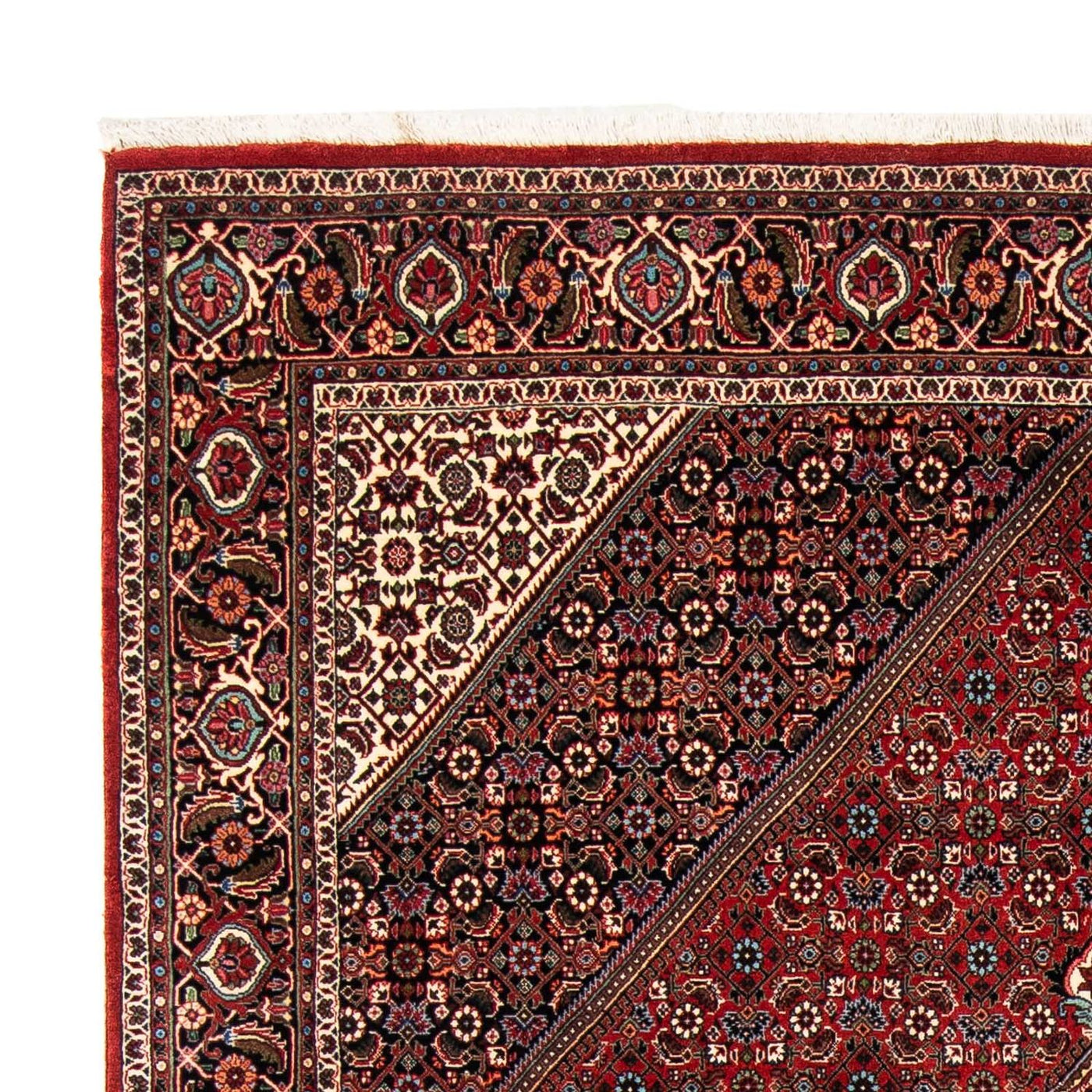 Bidjar Teppich 258x169cm - Perserteppich