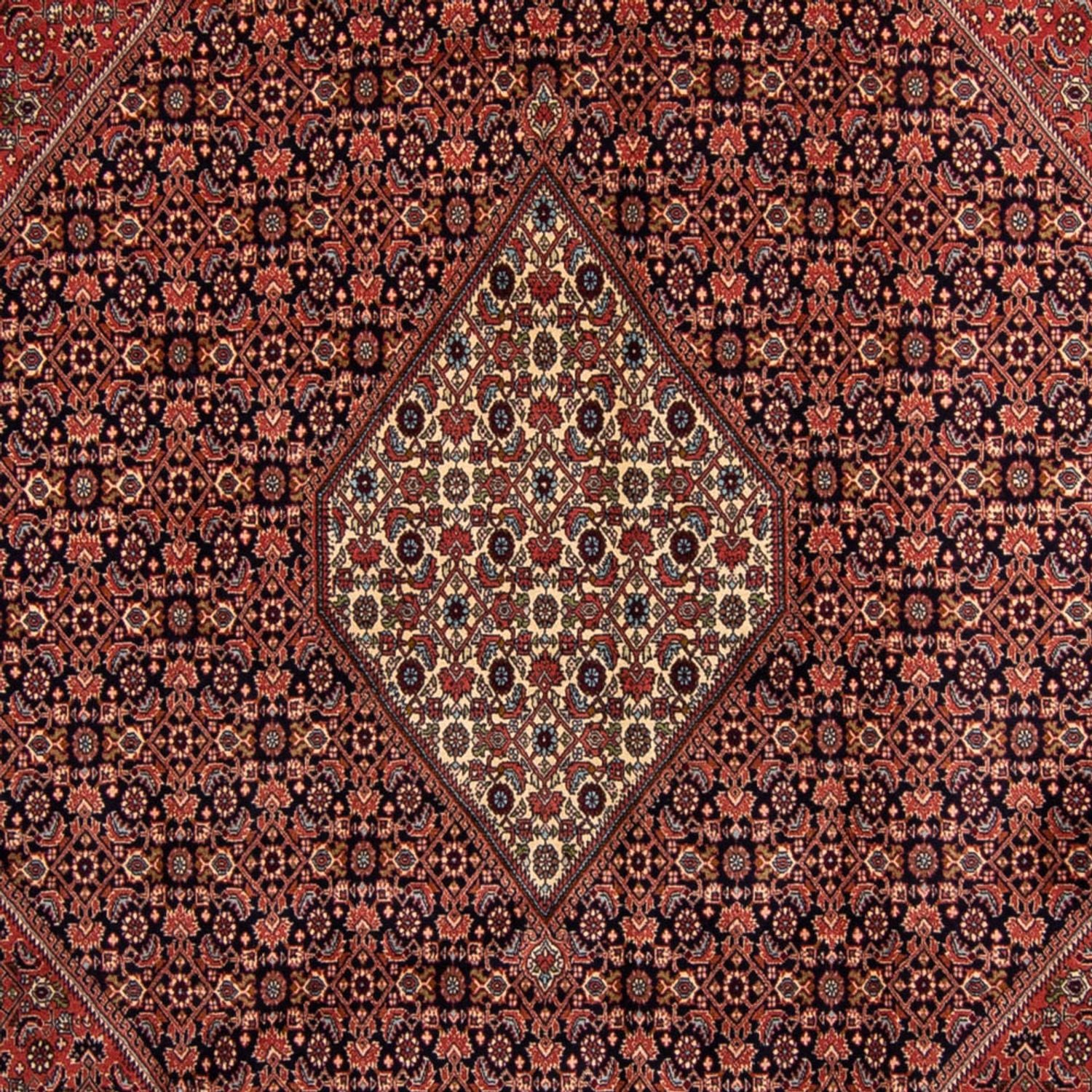 Perserteppich - Bidjar 350 x 249 cm