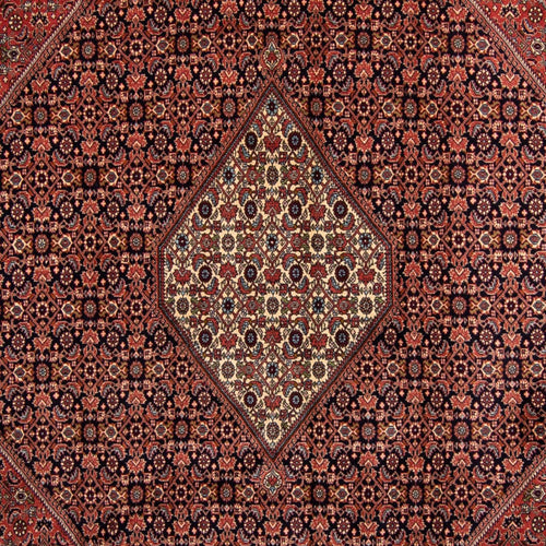Perserteppich - Bidjar 350 x 249 cm