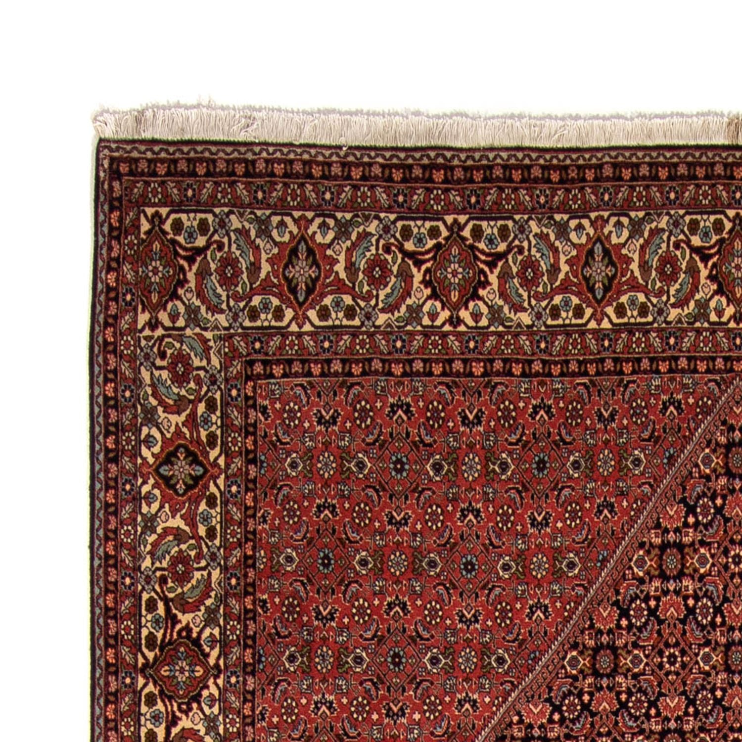 Perserteppich - Bidjar 350 x 249 cm