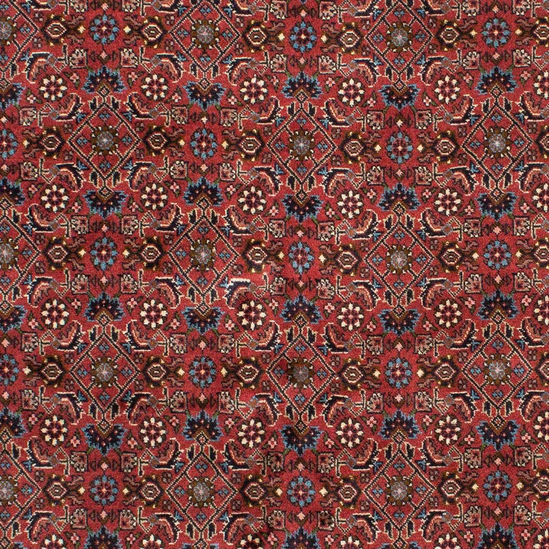 Perserteppich - Bidjar 218 x 136 cm