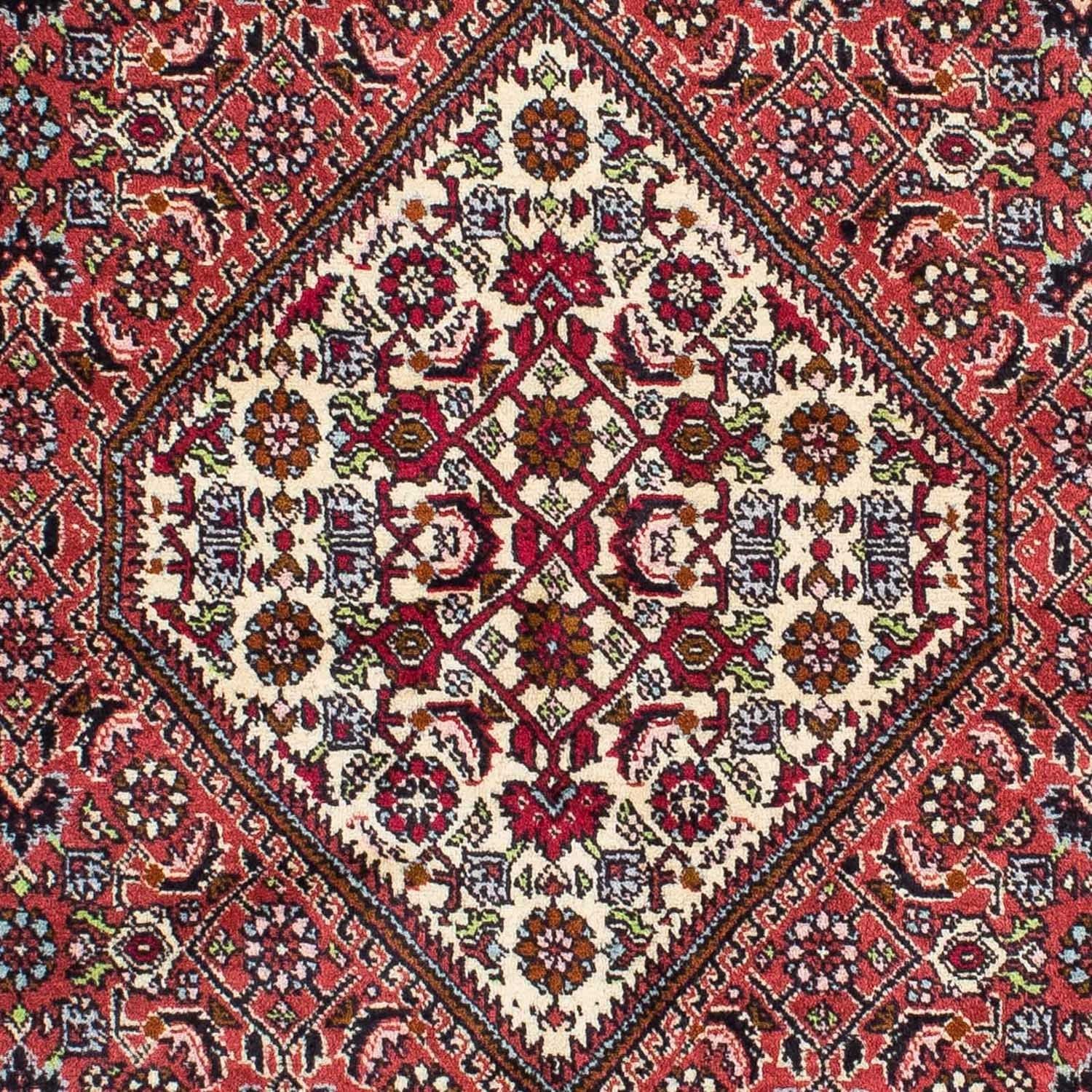 Perserteppich - Bidjar 222 x 138 cm