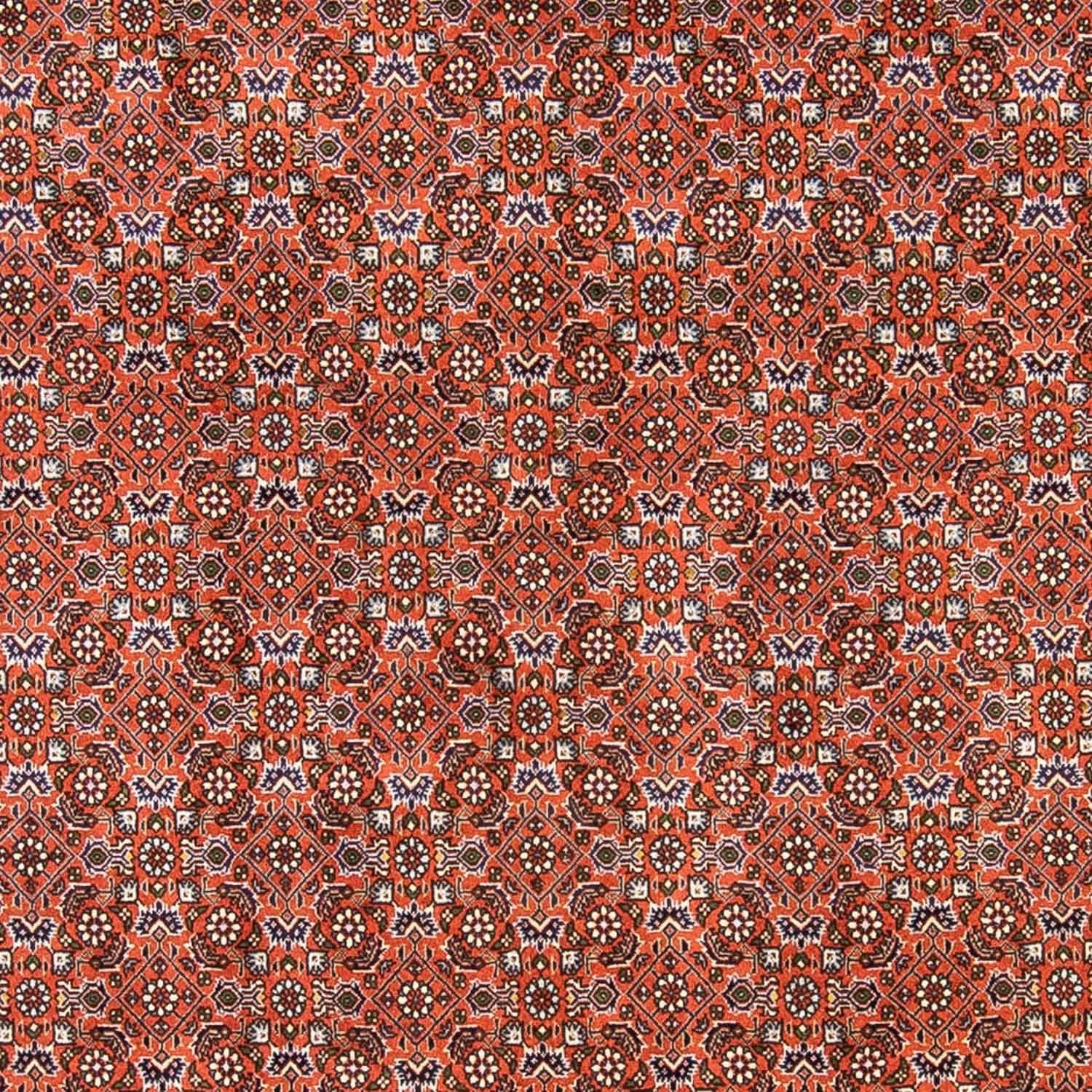 Perserteppich - Bidjar 237 x 168 cm