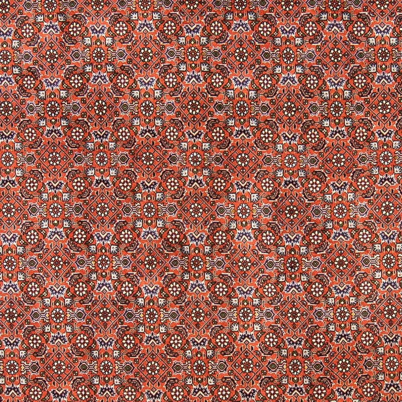 Perserteppich - Bidjar 237 x 168 cm