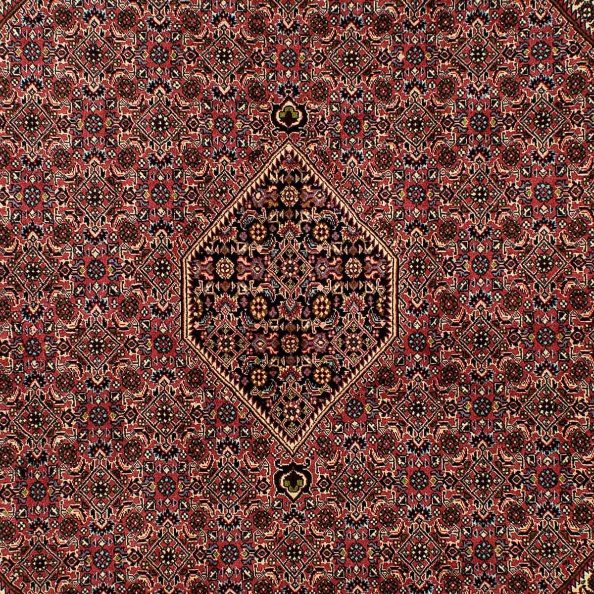 Perserteppich - Bidjar 291 x 201 cm