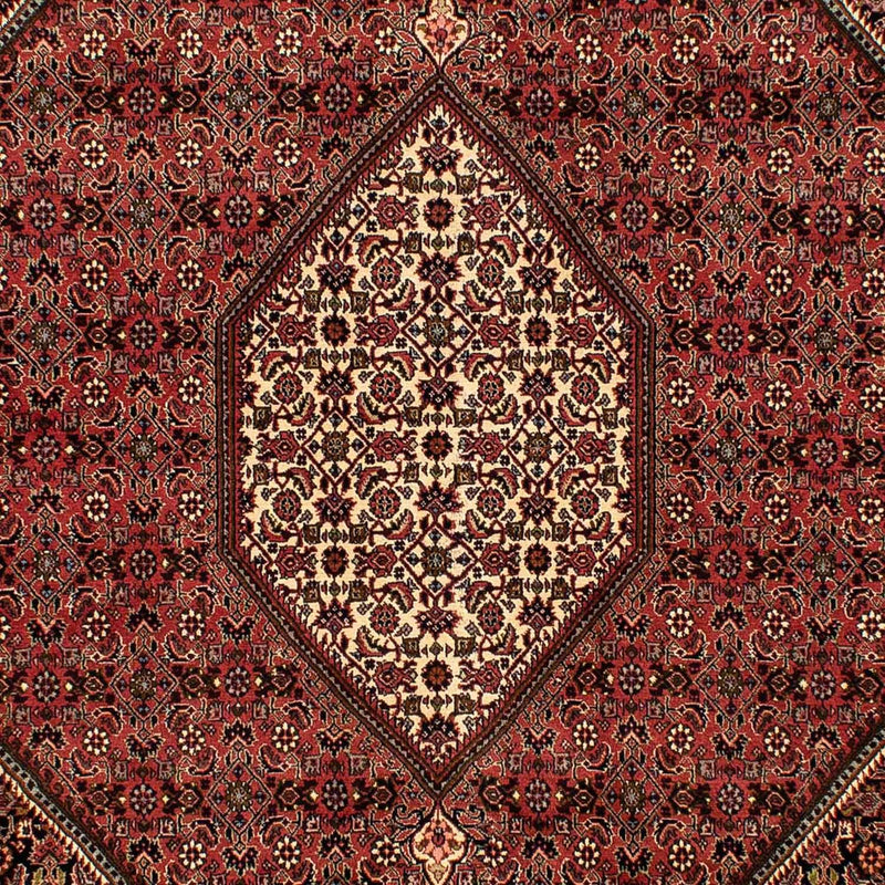 Perserteppich - Bidjar 283 x 204 cm