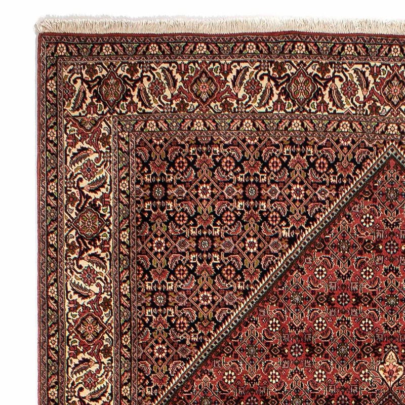 Perserteppich - Bidjar 283 x 204 cm