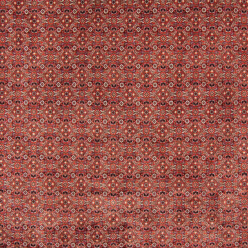 Perserteppich - Bidjar 403 x 298 cm