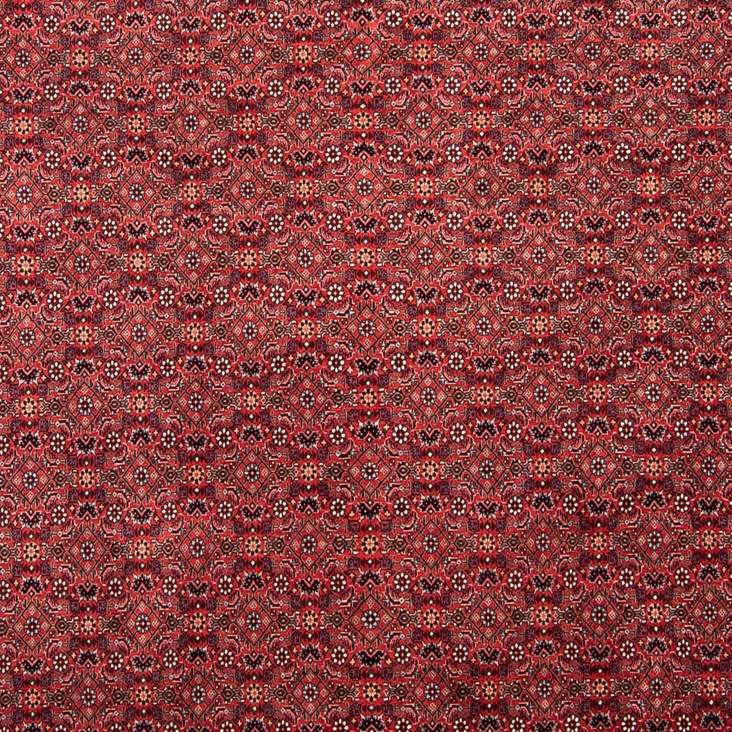 Perserteppich - Bidjar 296 x 250 cm
