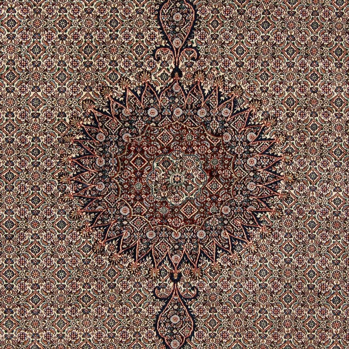 Perserteppich - Classic 305 x 202 cm