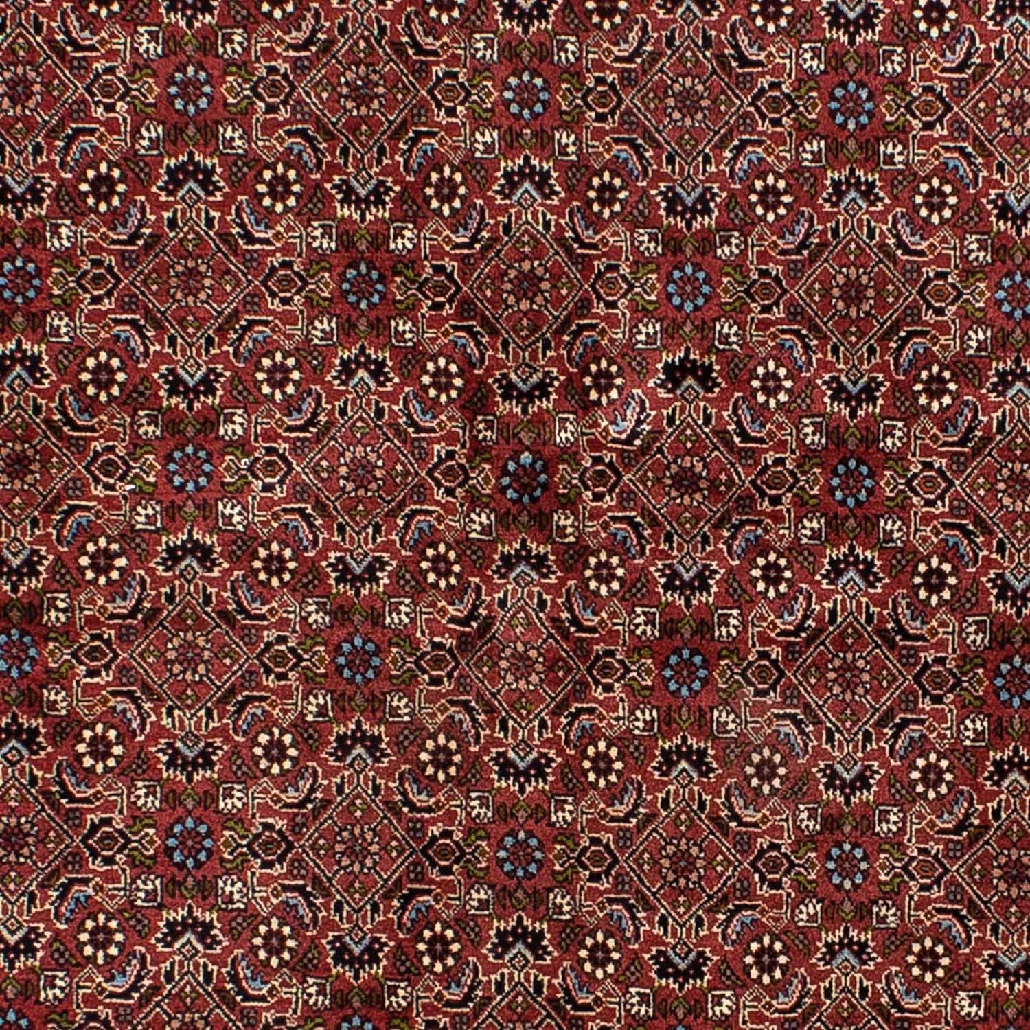 Perserteppich - Bidjar 205 x 141 cm