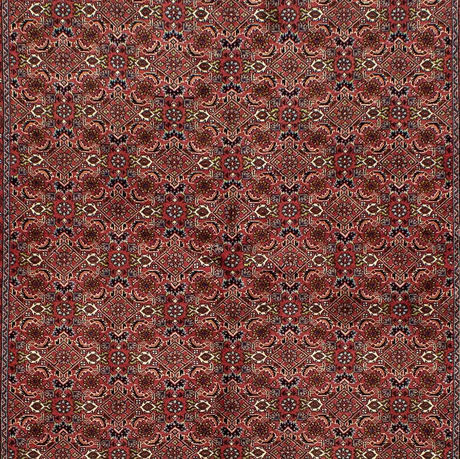 Perserteppich - Bidjar 246 x 170 cm - dunkelrot
