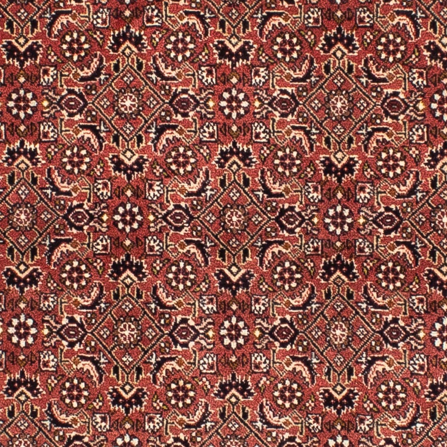 Perserteppich - Bidjar 200 x 195 cm