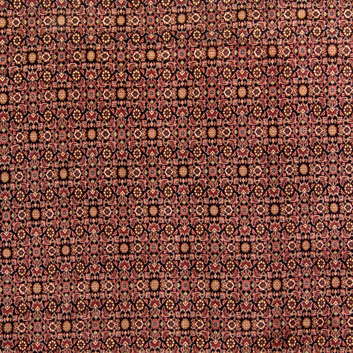 Perserteppich - Bidjar 343 x 254 cm