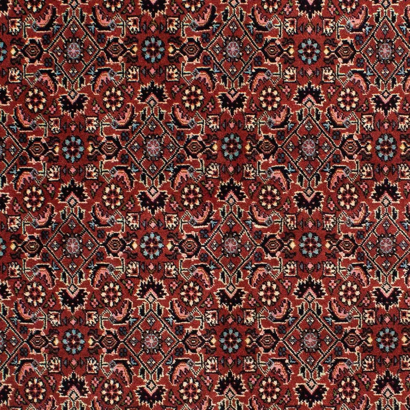 Perserteppich - Bidjar 203 x 138 cm