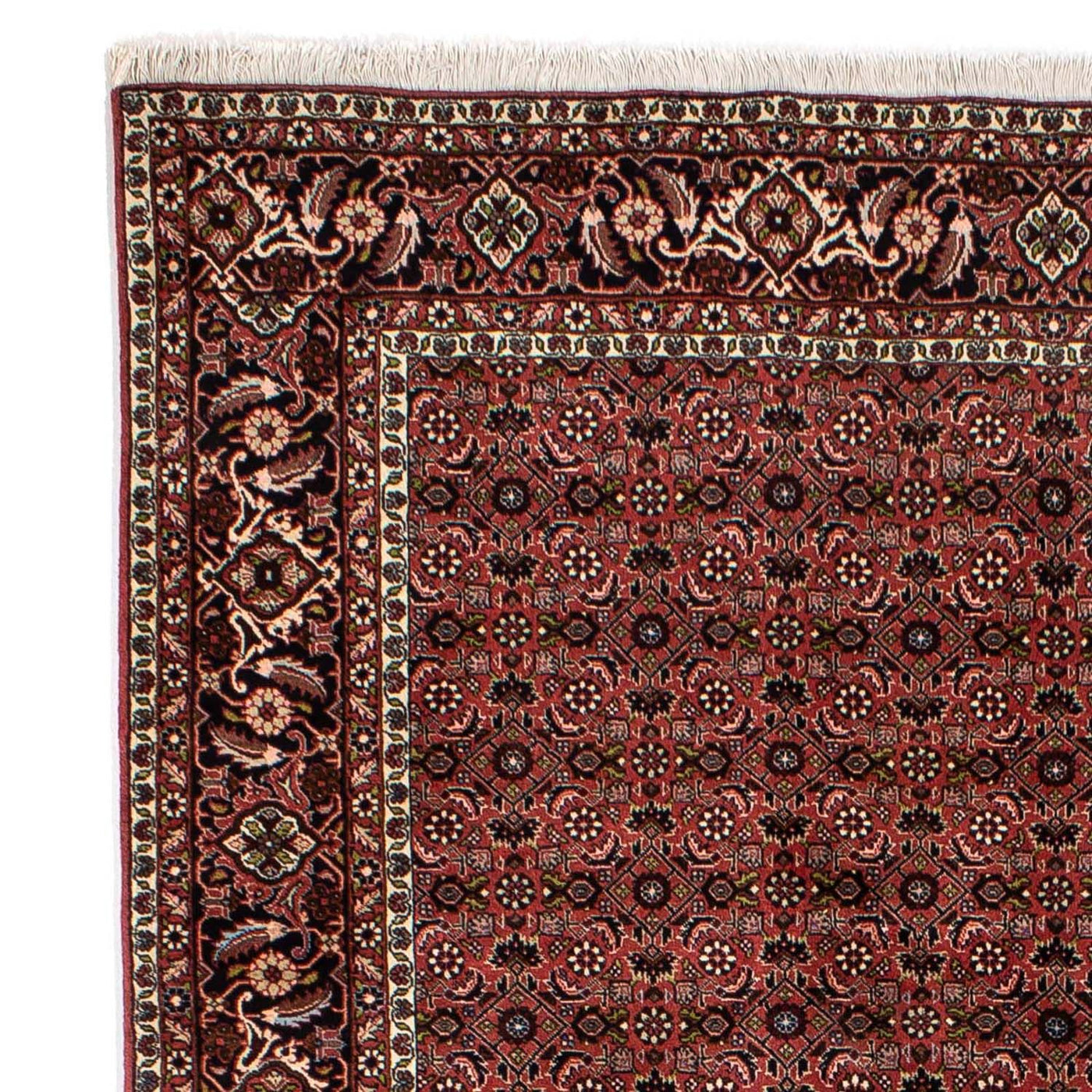Bidjar Teppich 295x196cm - Perserteppich